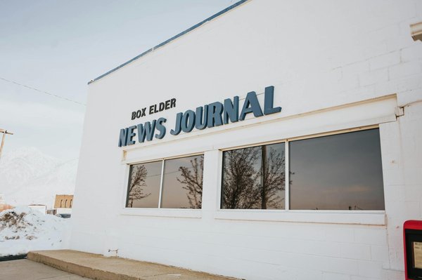 Solutions pour accompagner votre chien en fin de vie sereinement