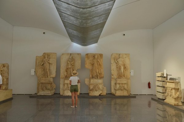 Comment réussir l'organisation d'une compétition de cuisine vegan : conseils pratiques et astuces incontournables !